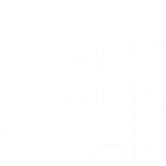 ARKFILE STUDIO